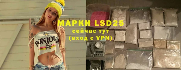 прущие грибы Магас