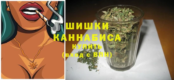 прущие грибы Магас