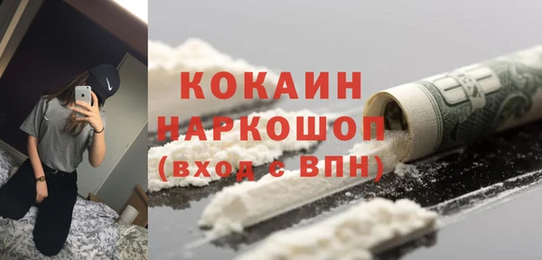 прущие грибы Магас