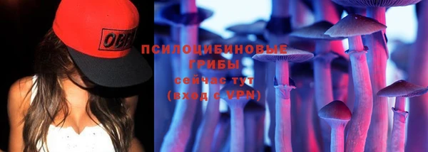 трава Майский