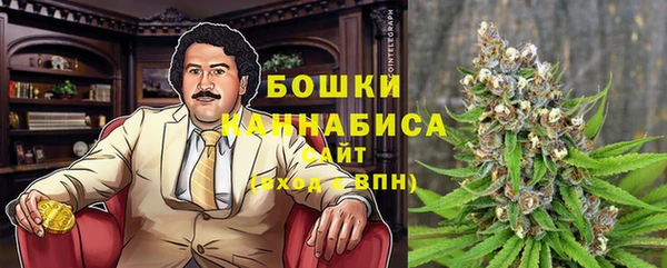 прущие грибы Магас