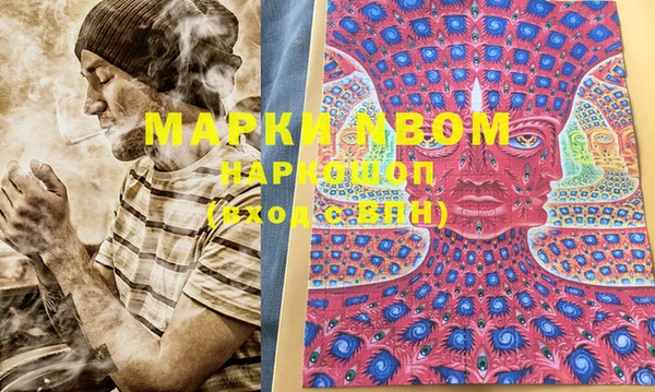 прущие грибы Магас
