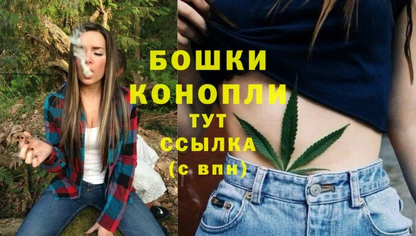 прущие грибы Домодедово