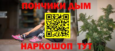 гидропоника Будённовск