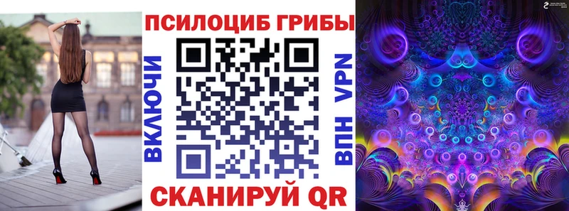Псилоцибиновые грибы MAGIC MUSHROOMS  MEGA ТОР  Долгопрудный  darknet наркотические препараты  купить  цена 