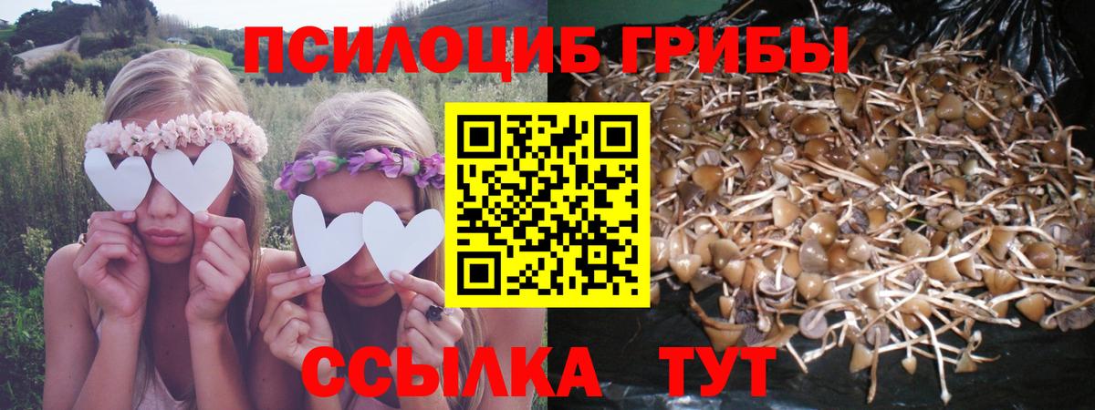 Галлюциногенные грибы MAGIC MUSHROOMS  Вход с VPN  сколько стоит  Долгопрудный 