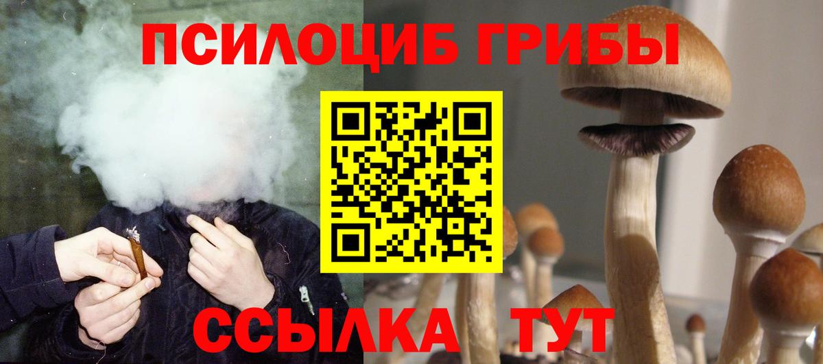 Галлюциногенные грибы Cubensis Долгопрудный